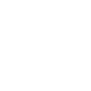 网红明星